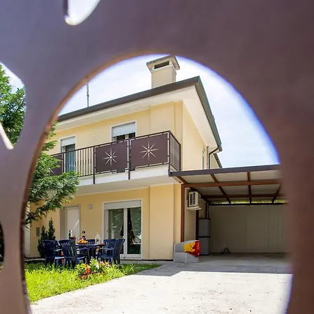 Mimosa * Rosolina Mare